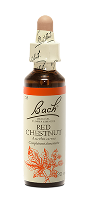 RED CHESTNUT