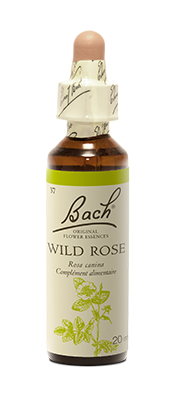 flacon Wild Rose - Eglantine